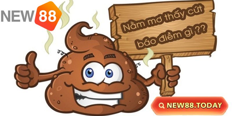 Nằm mơ thấy cứt và những điềm báo tâm linh Nằm mơ thấy cứt và những điềm báo tâm linh